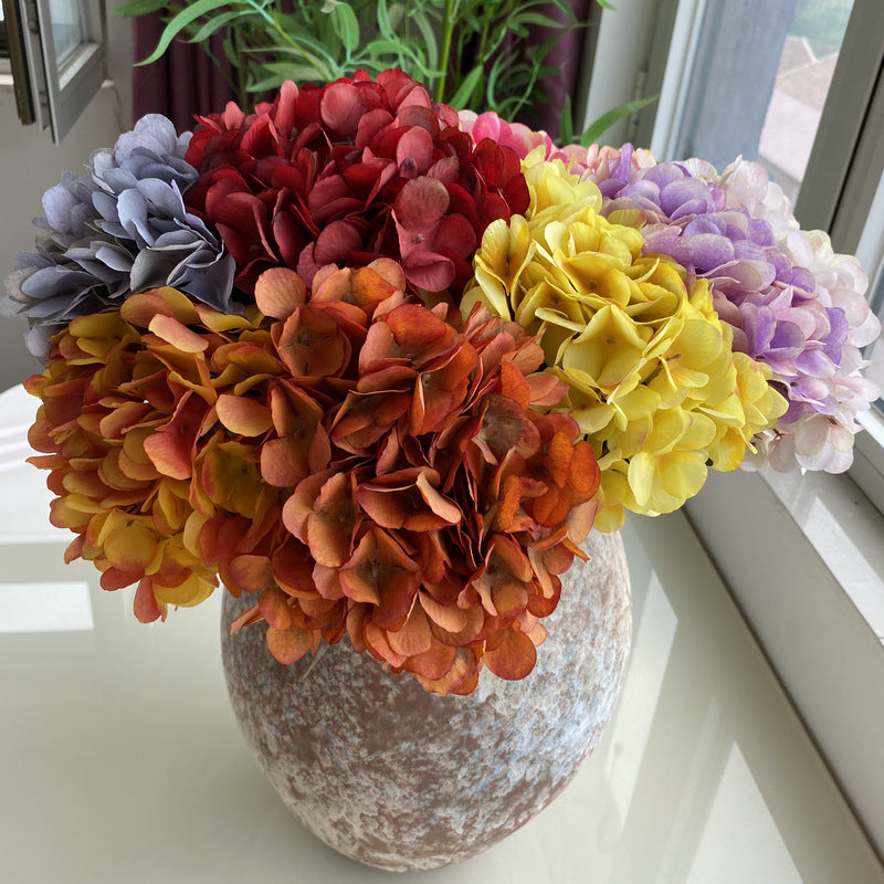 H0038 Hydrangea