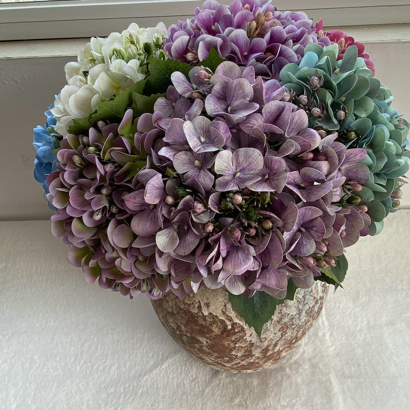 H0044 Hydrangea