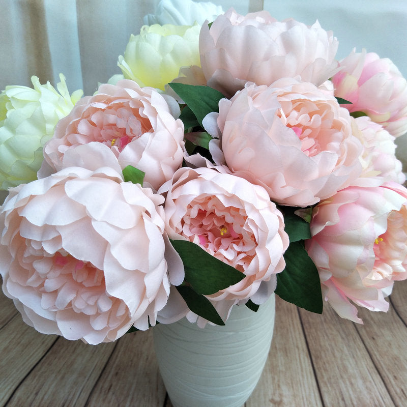 P0041 European five-headed round peony