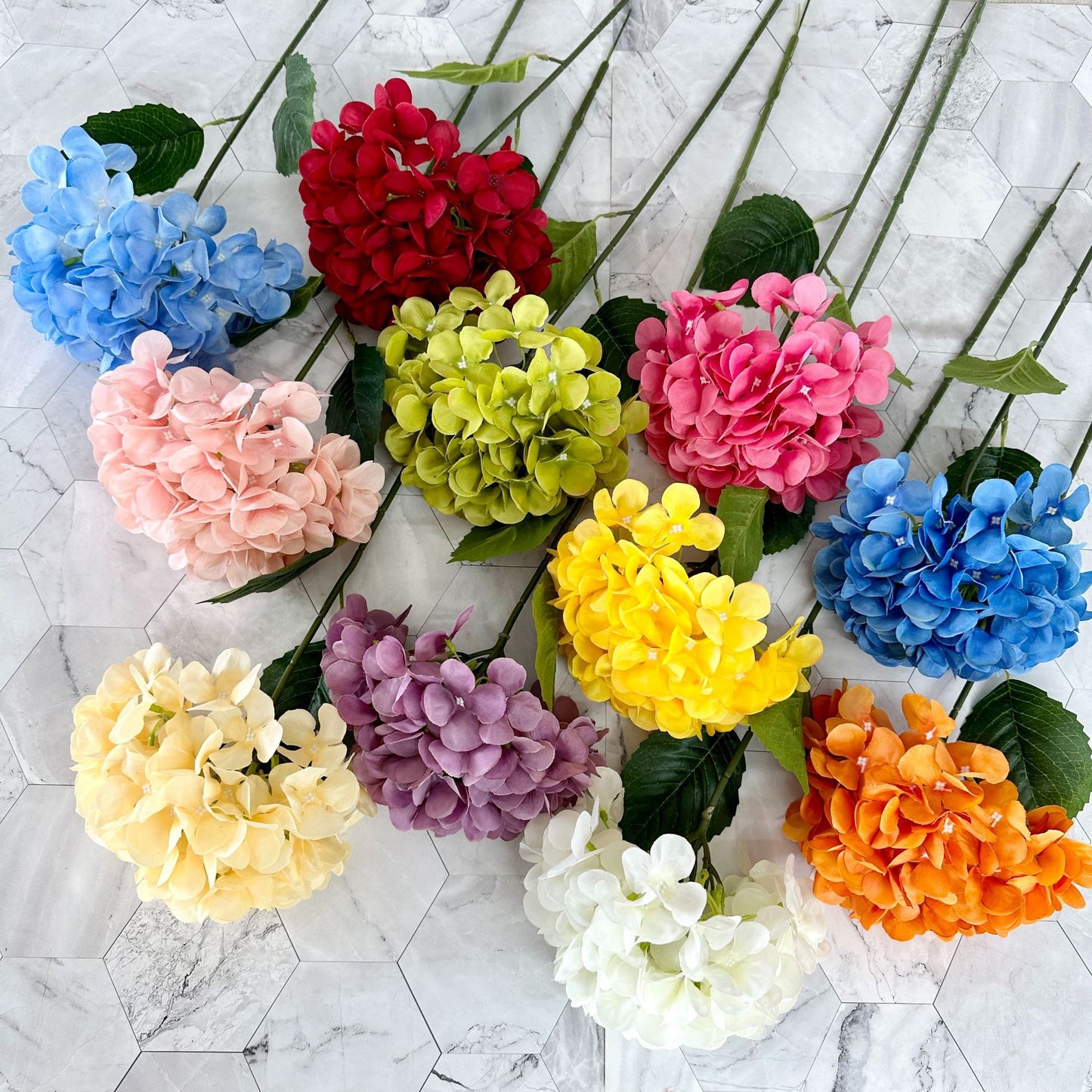 H0050 Hydrangea