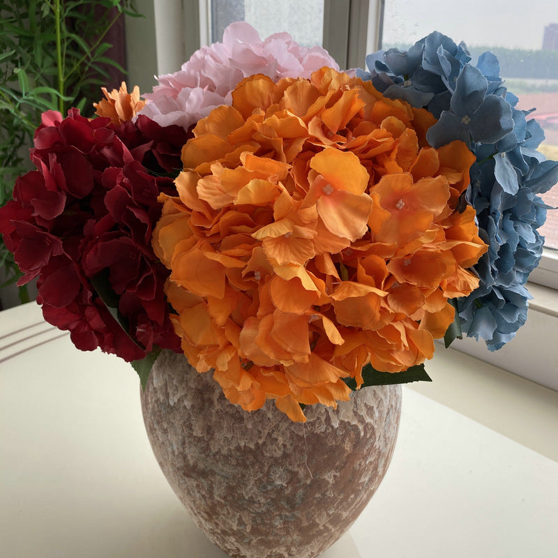 H0024 Hydrangea