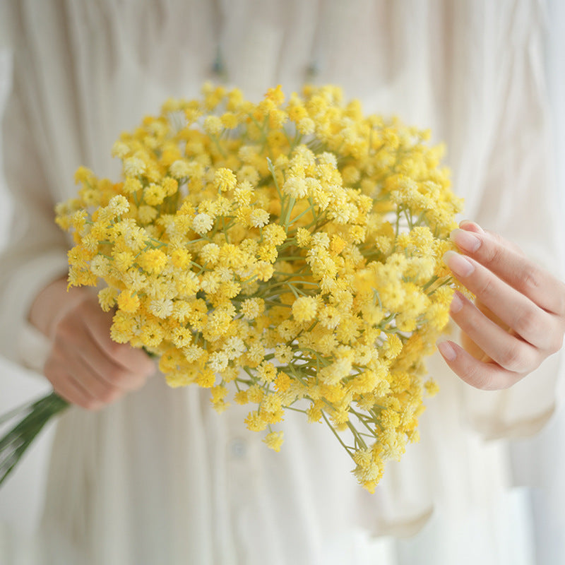 babysbreath014