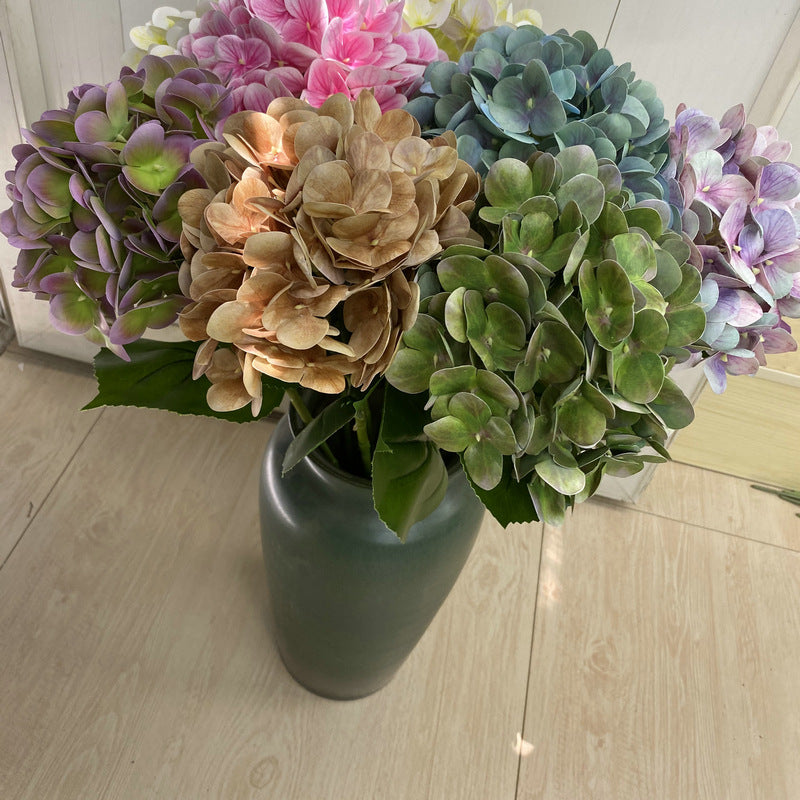 H0037 Hydrangea