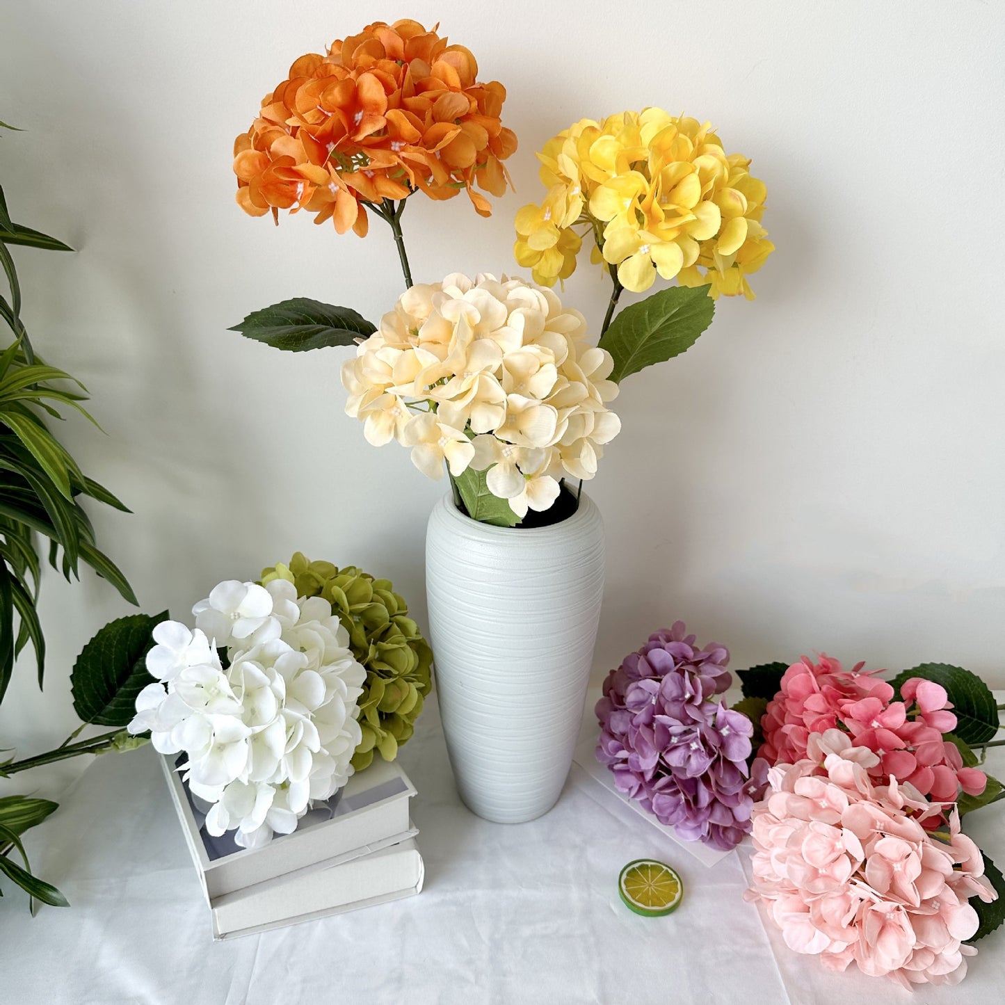 H0050 Hydrangea