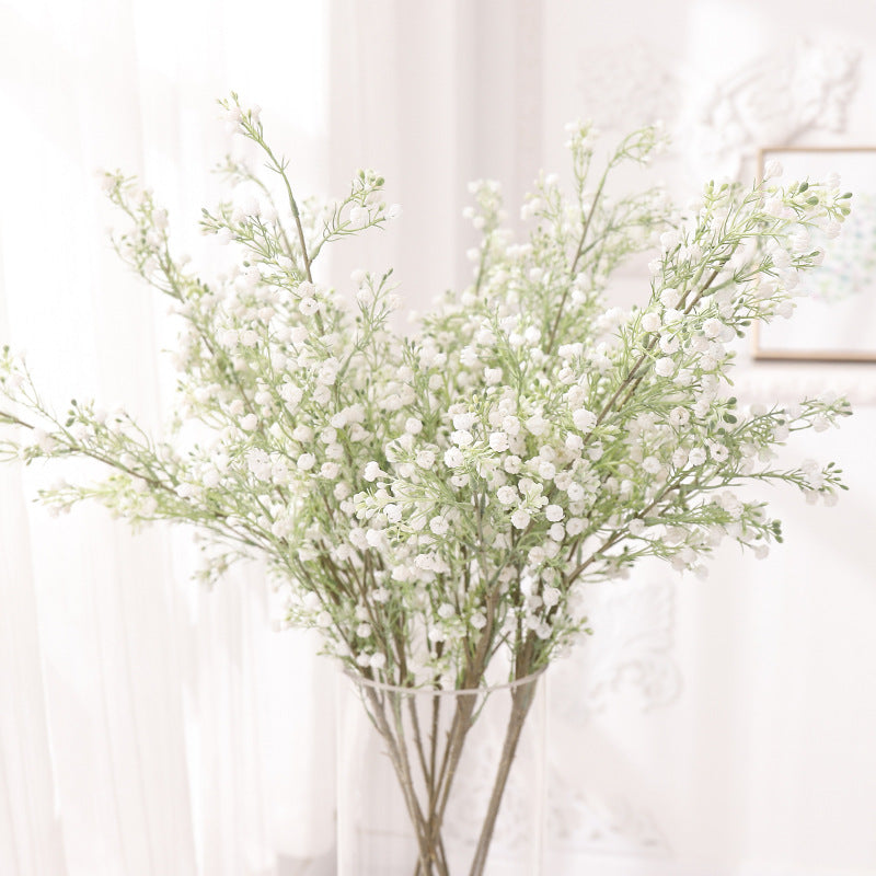babysbreath016