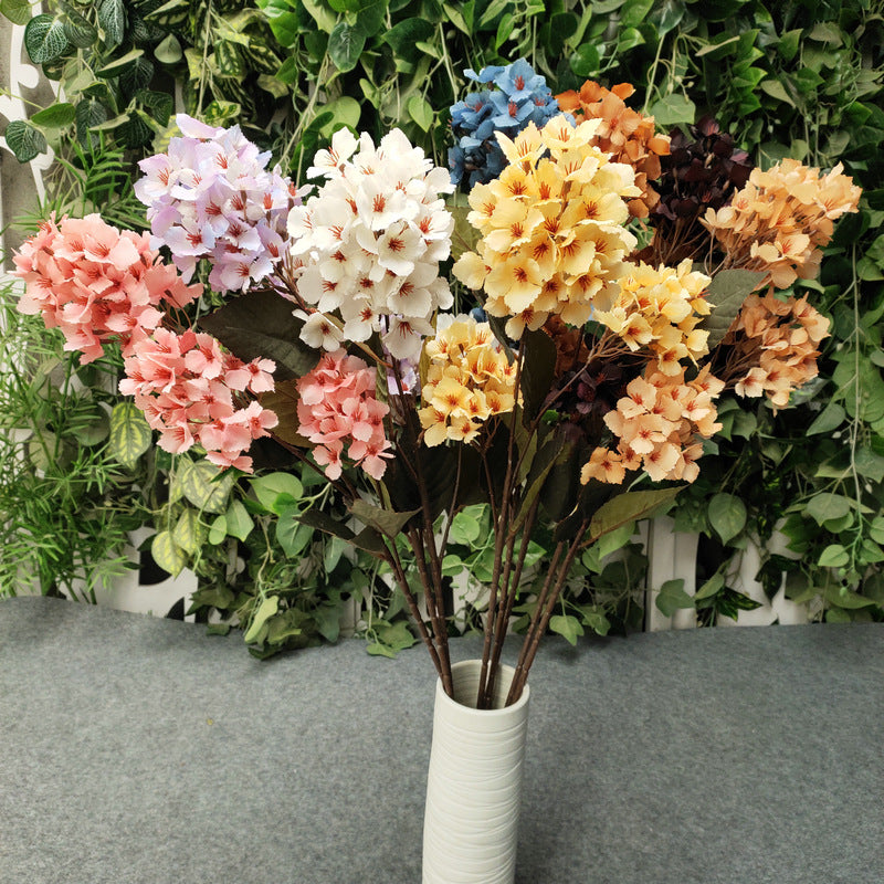 H0049 Hydrangea