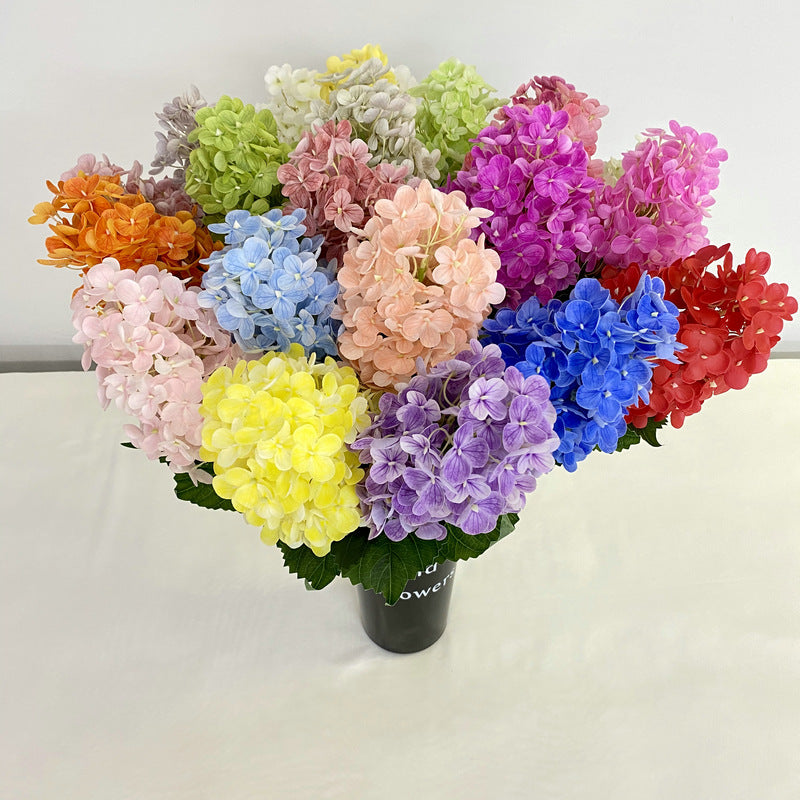 H0042 Hydrangea