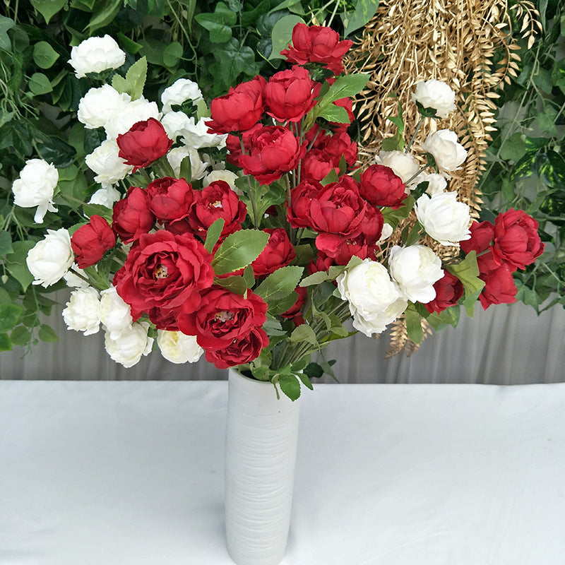 P0018 Seven-headed Peony
