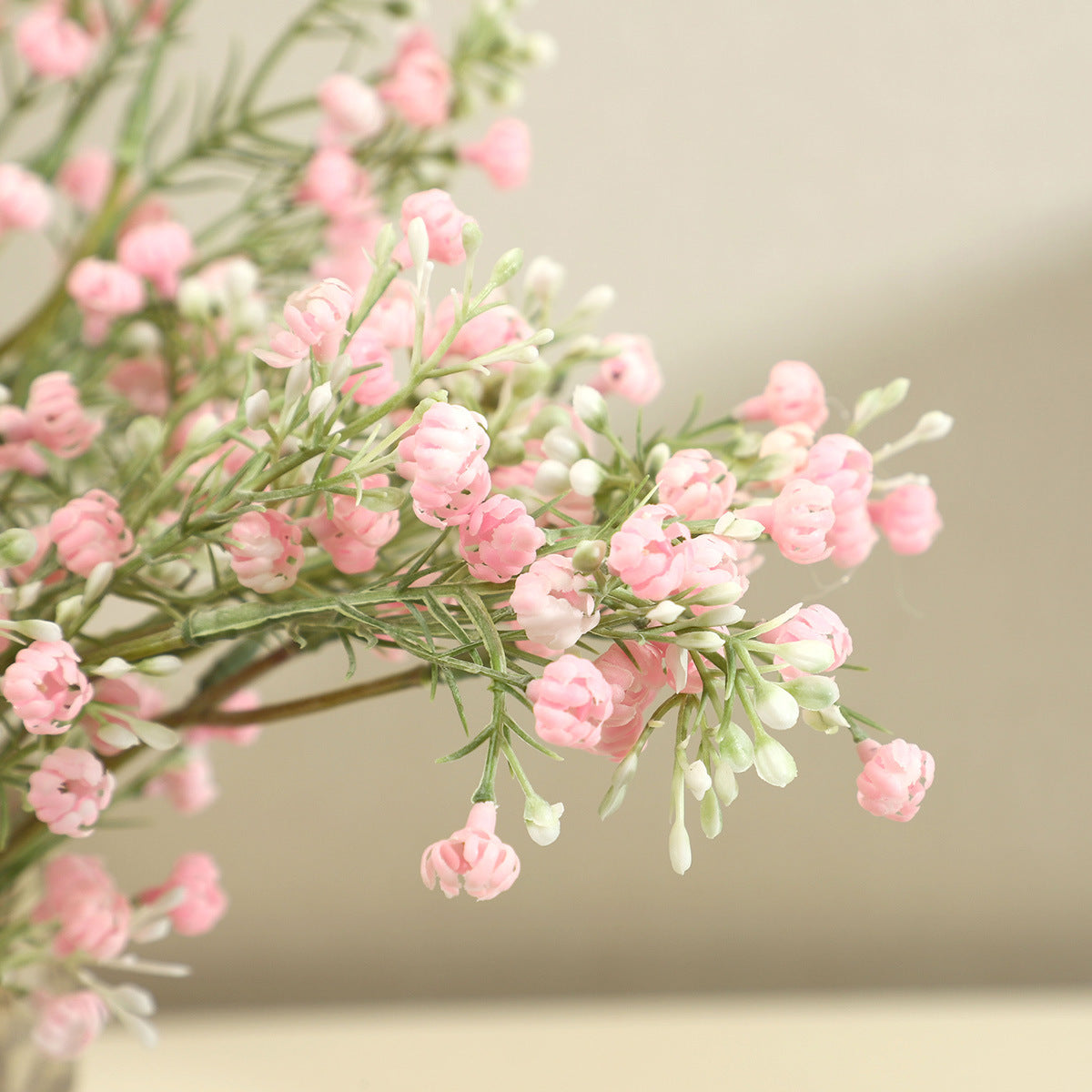 babysbreath021