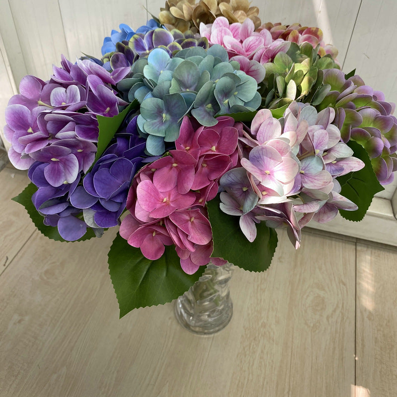 H0048 Hydrangea