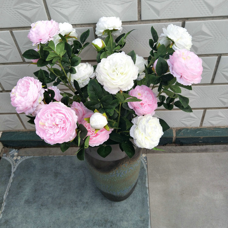 P0023 Three-headed peony
