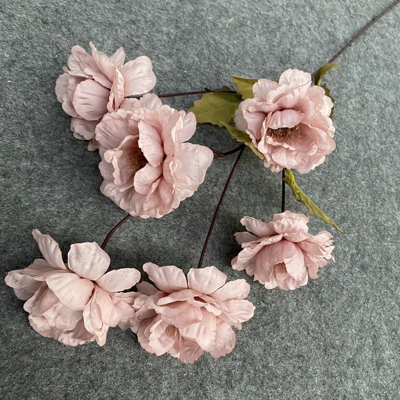 P0022 Six-headed Peony with Hundred Antlers