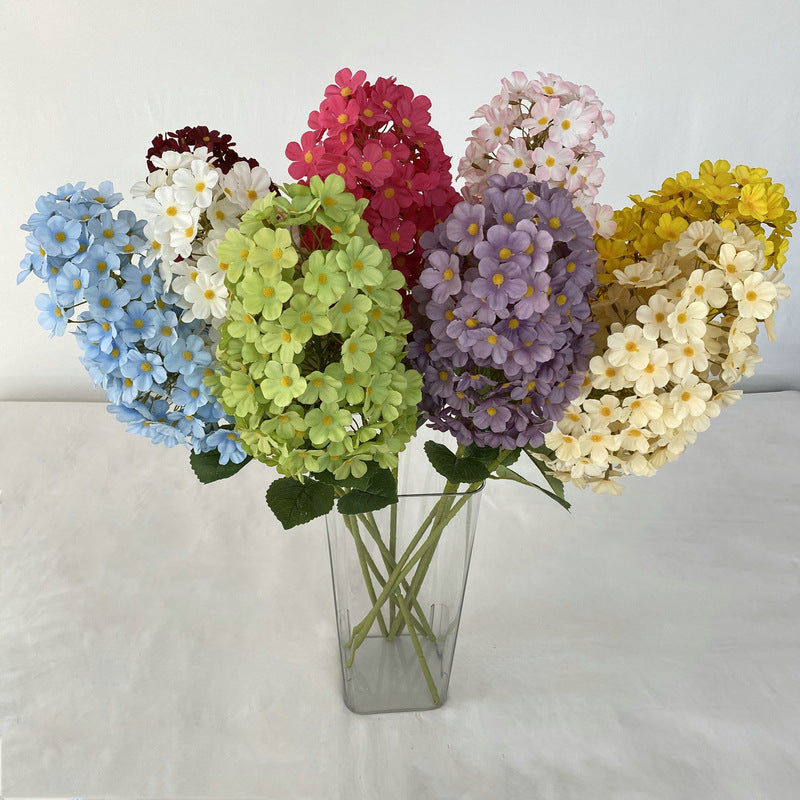 H0041 Hydrangea