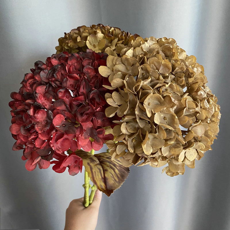 H0043 Hydrangea