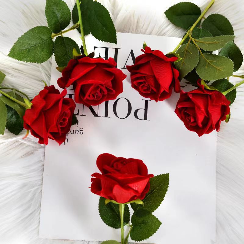 Nordic rose