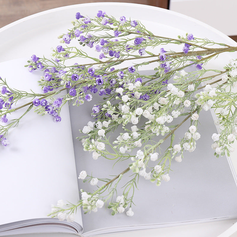 babysbreath016