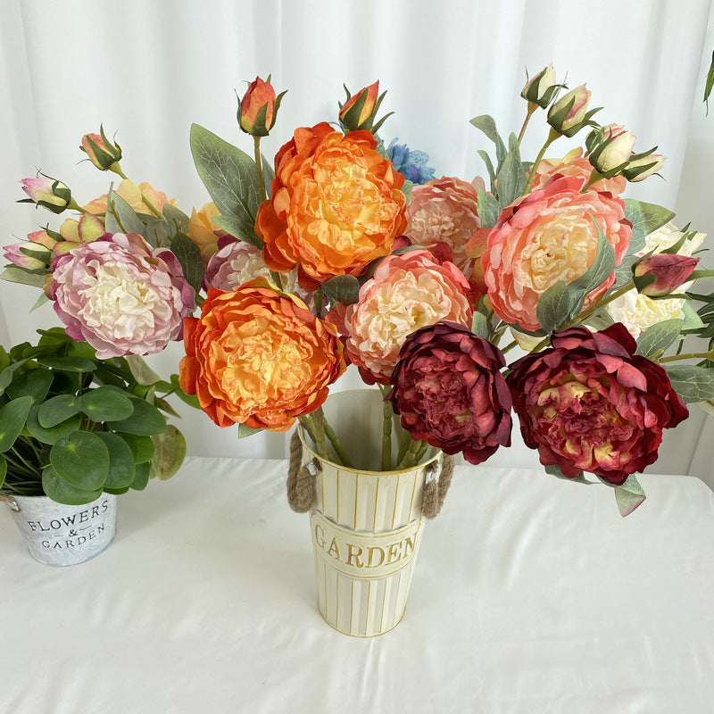 P0033 Peony