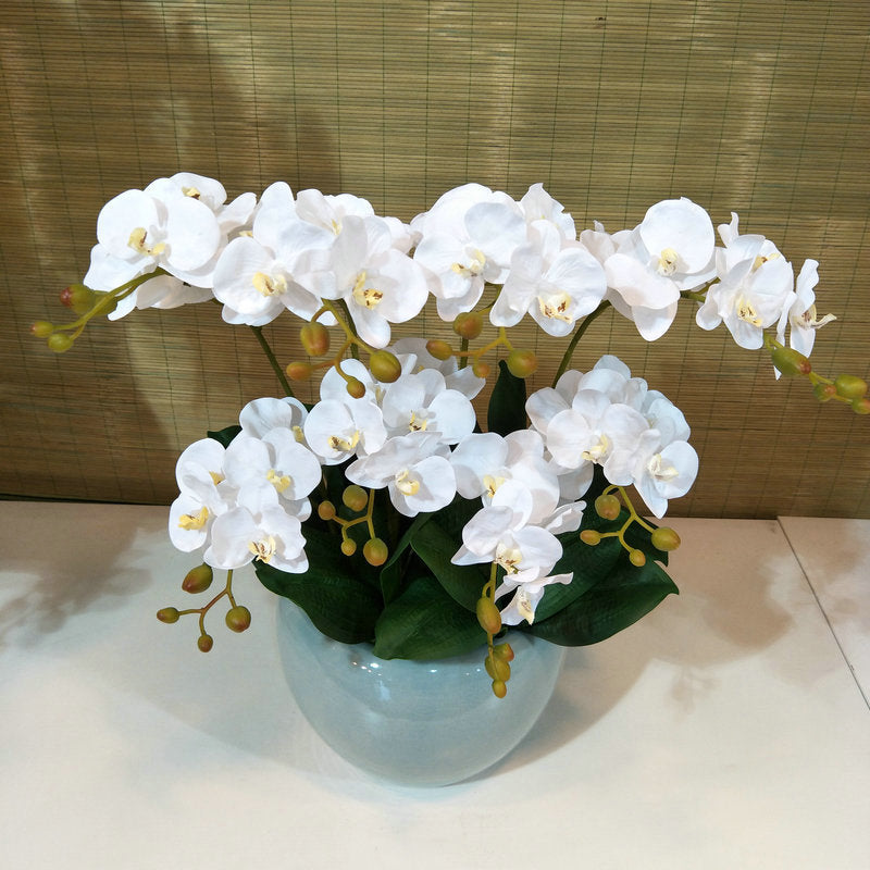 O0012 Film two-pronged simulated small Phalaenopsis with leaves