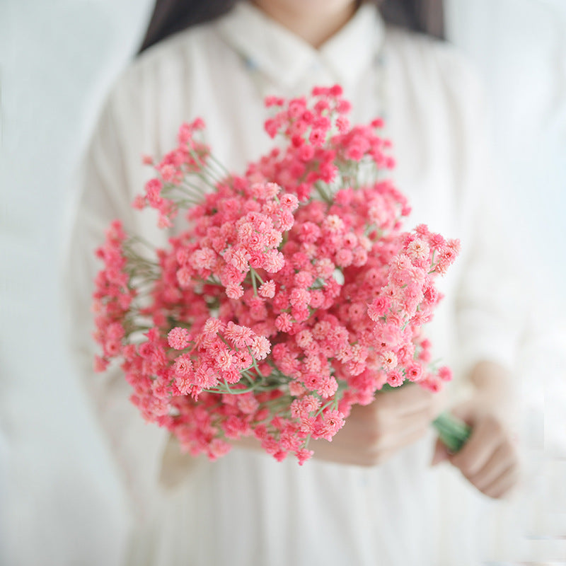 babysbreath014