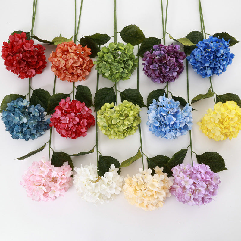 H0040 Hydrangea