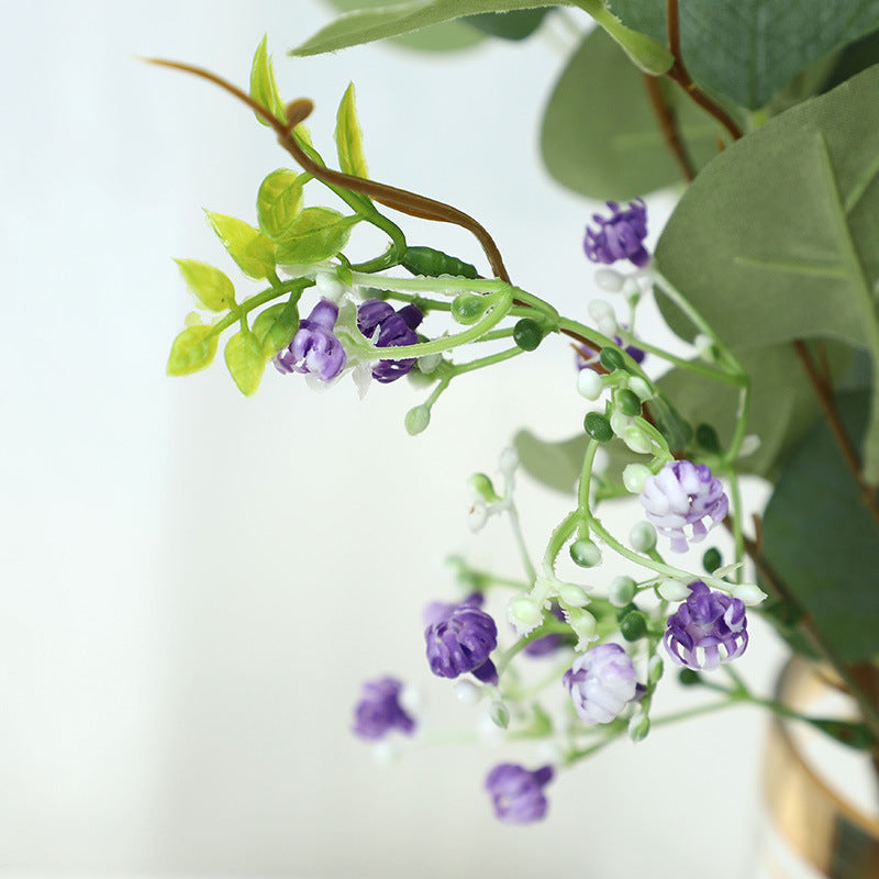 babysbreath022