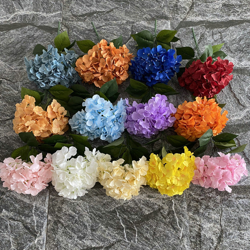 H0024 Hydrangea