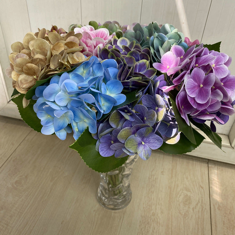 H0048 Hydrangea