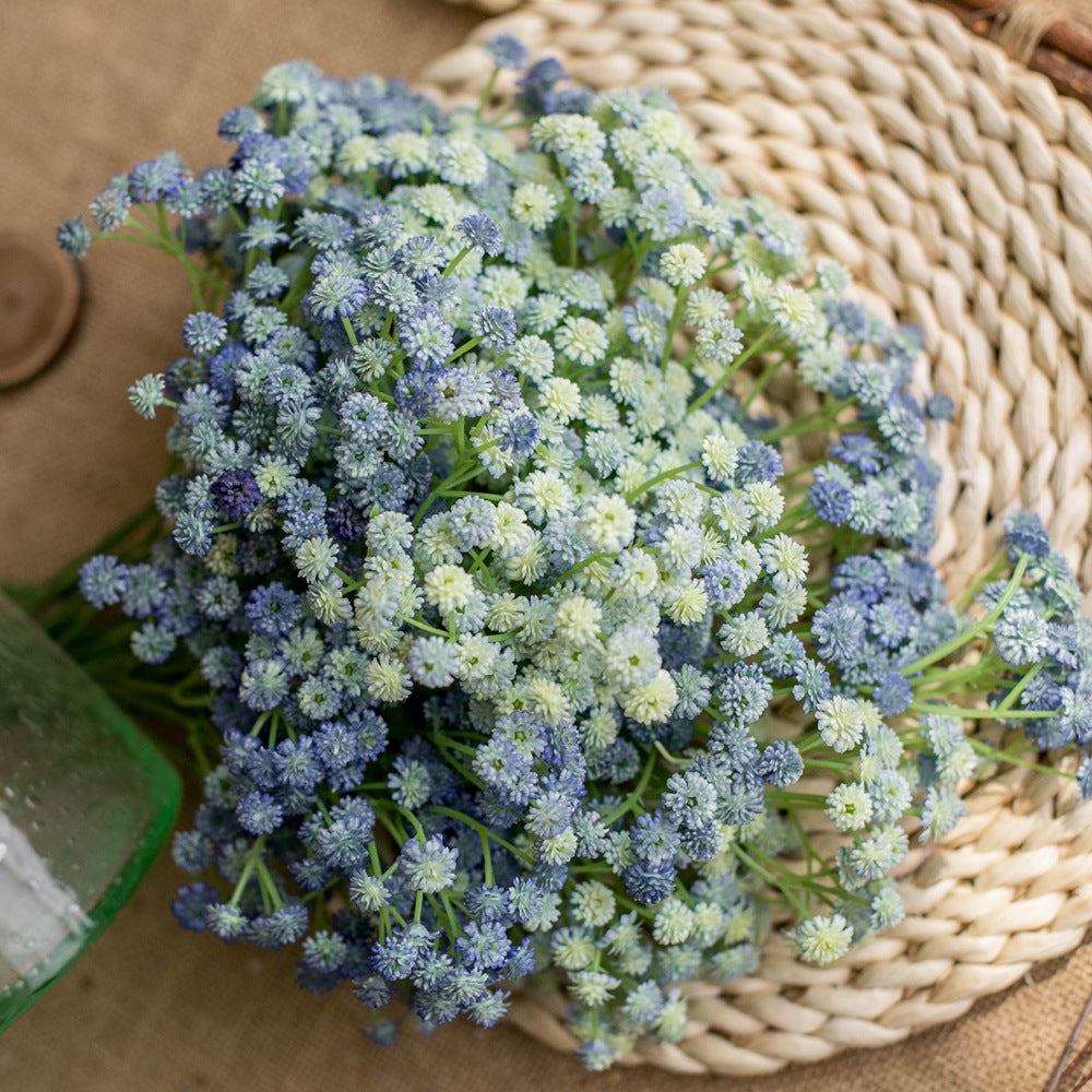 babysbreath013