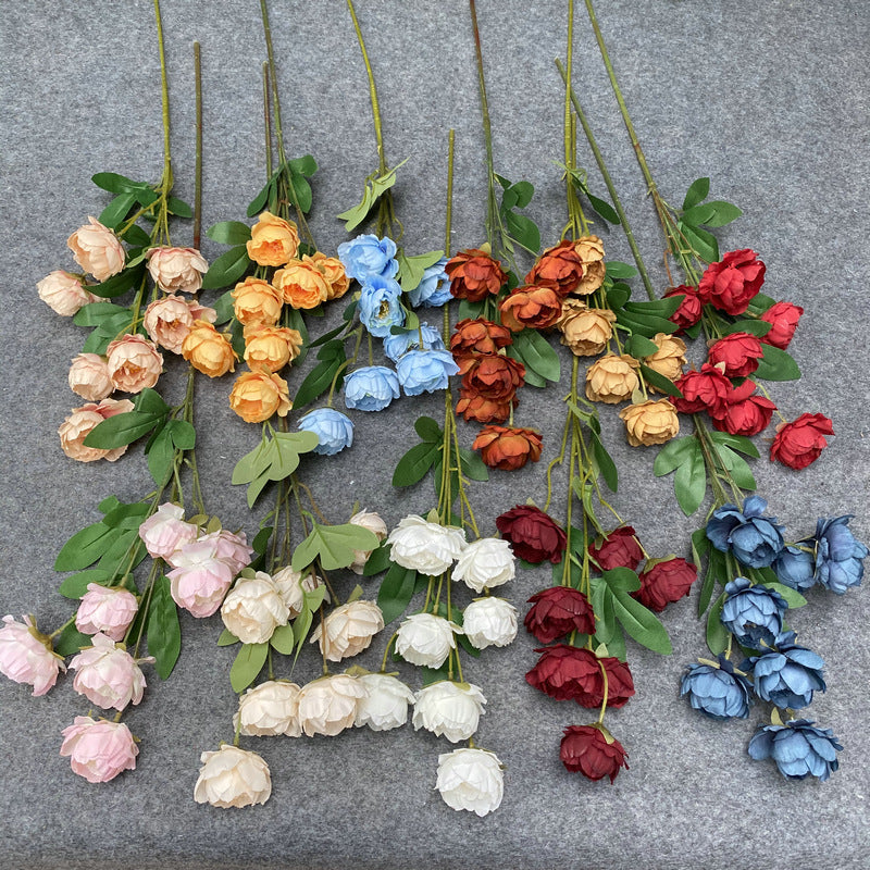 P0018 Seven-headed Peony