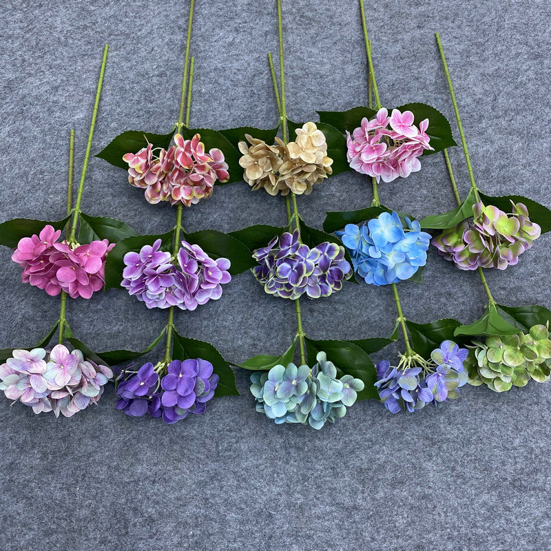 H0048 Hydrangea