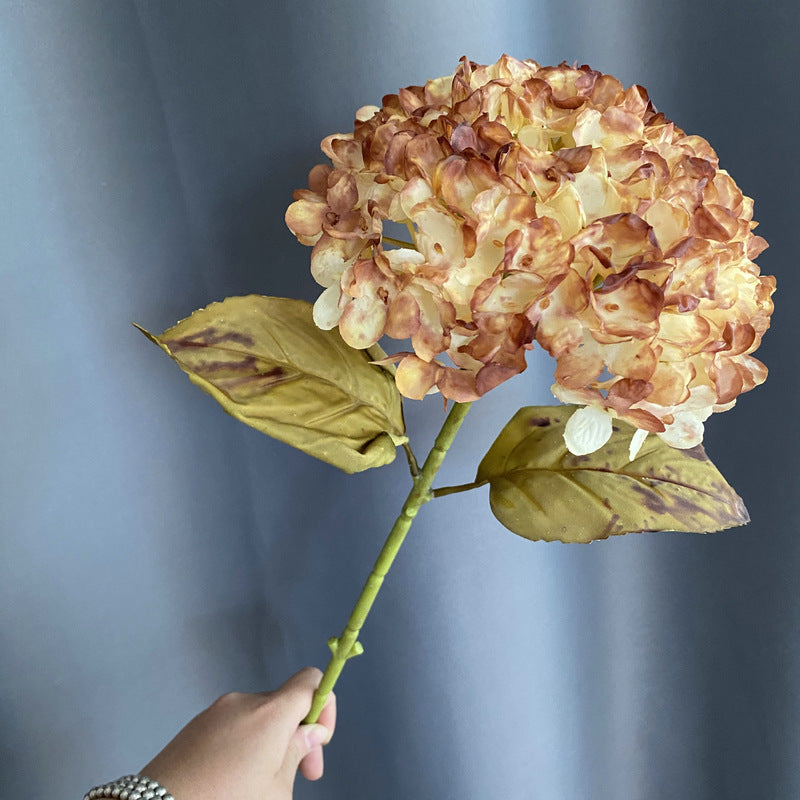 H0043 Hydrangea