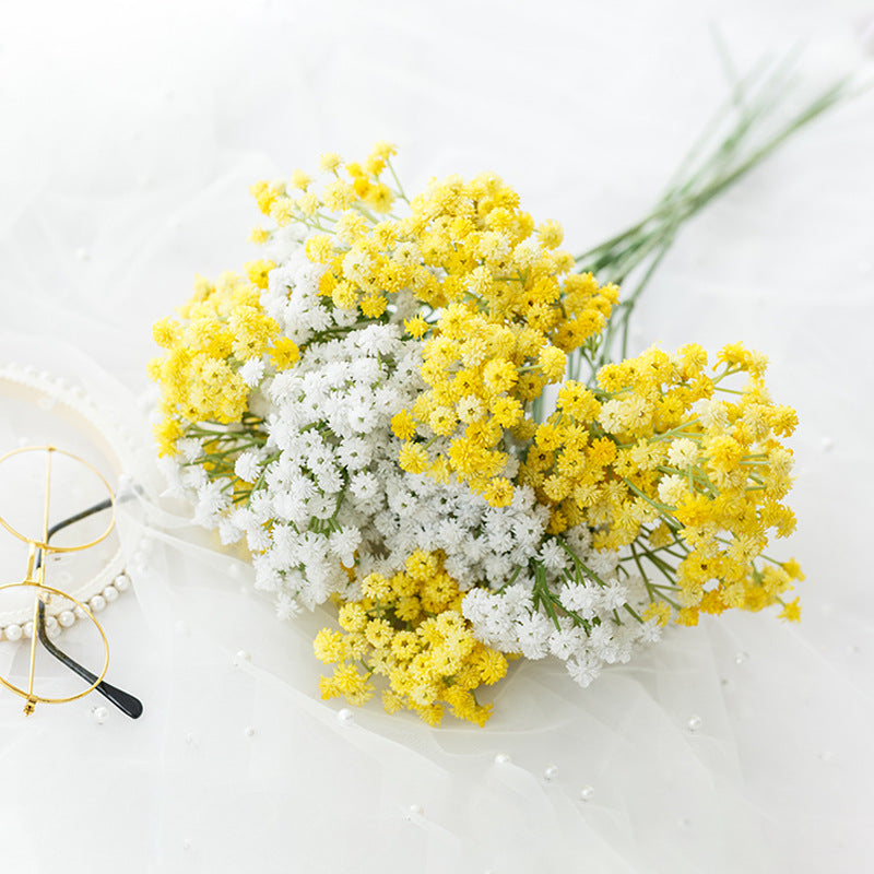 babysbreath014