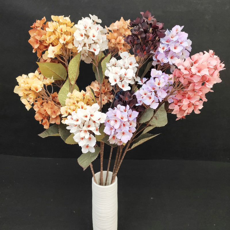 H0049 Hydrangea