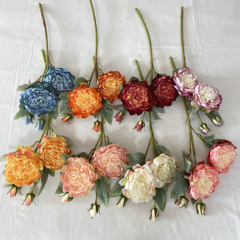 P0033 Peony