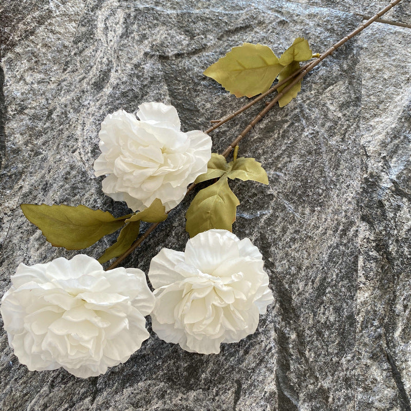 P0040 Grilled edge glazed peony