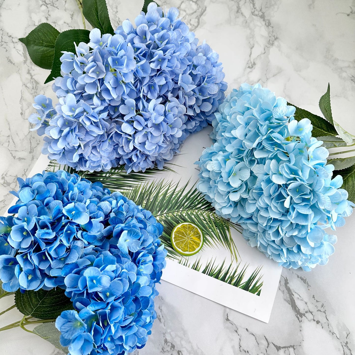H0035 Hydrangea