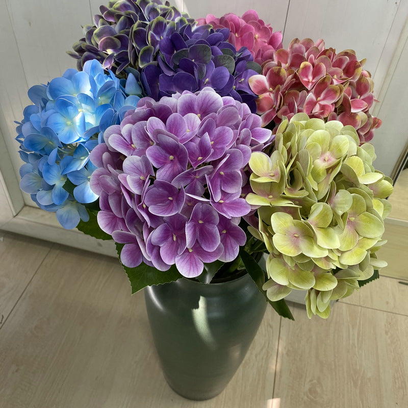 H0037 Hydrangea