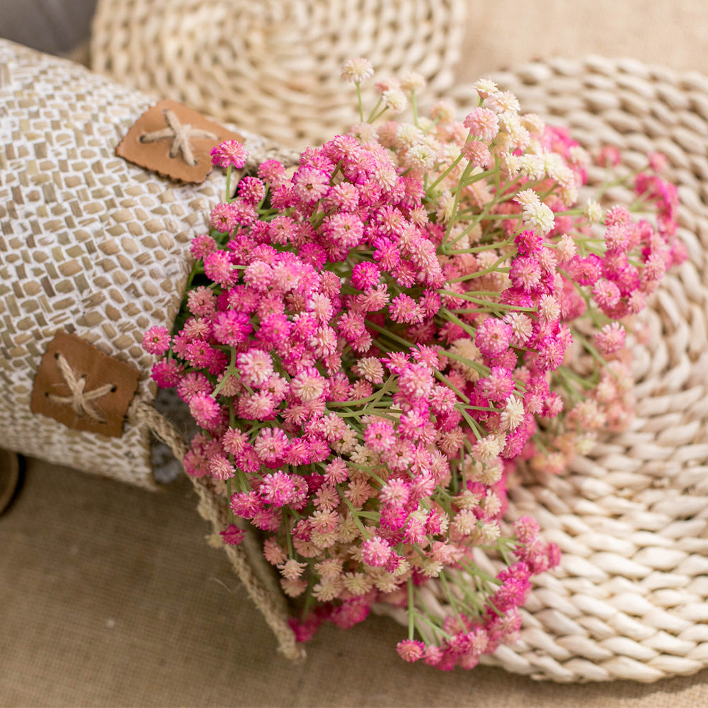 babysbreath013