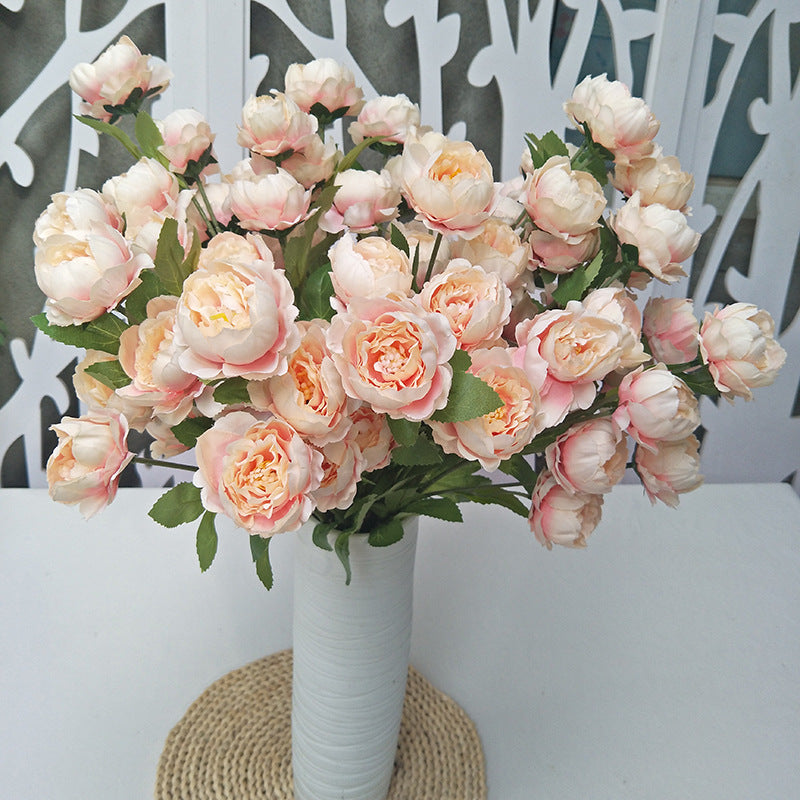 P0018 Seven-headed Peony