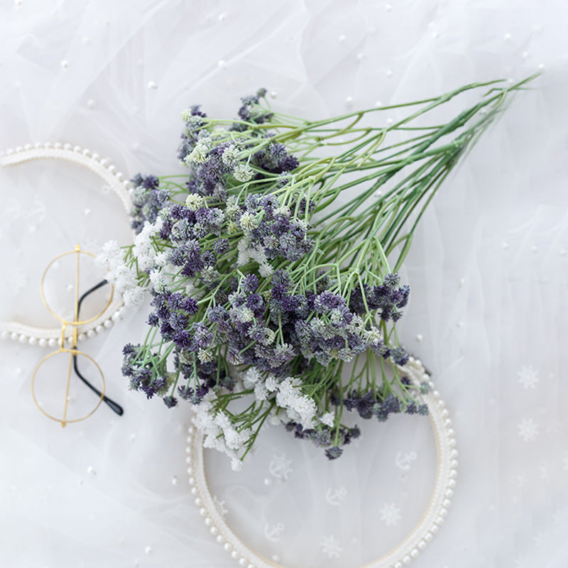 babysbreath014