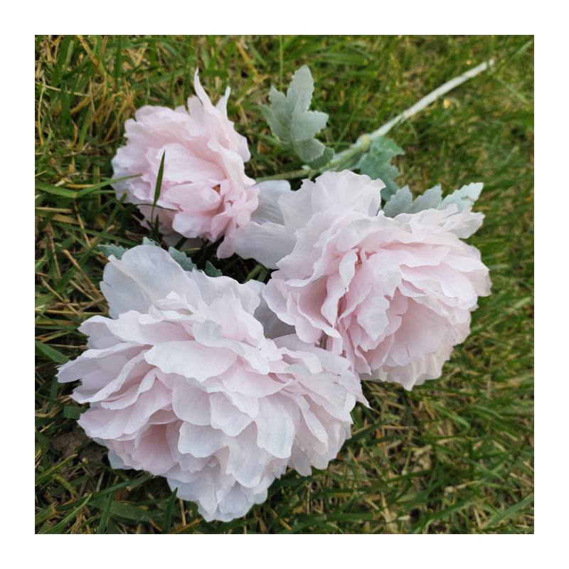 P0050 Three peonies and peonies