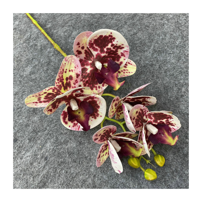 O0004 3D printed 5-head Phalaenopsis