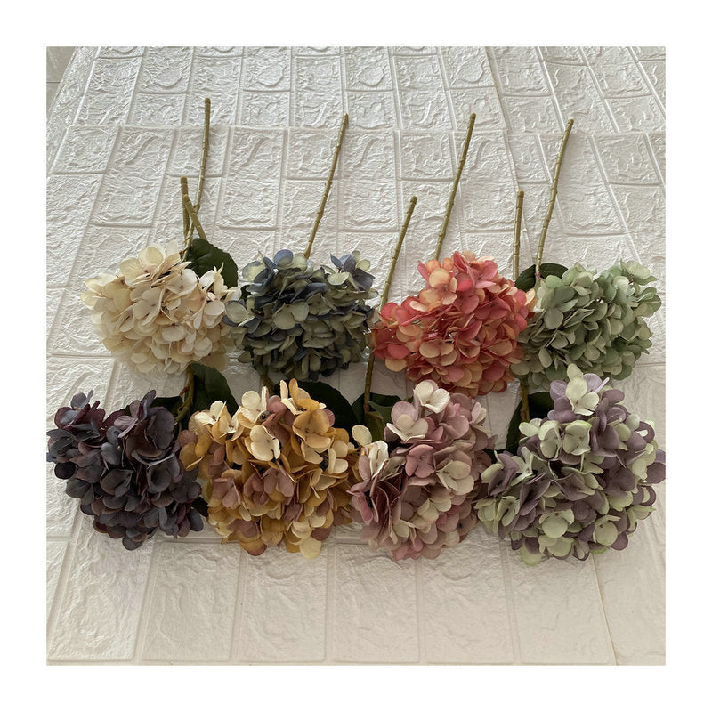 H0038 Hydrangea