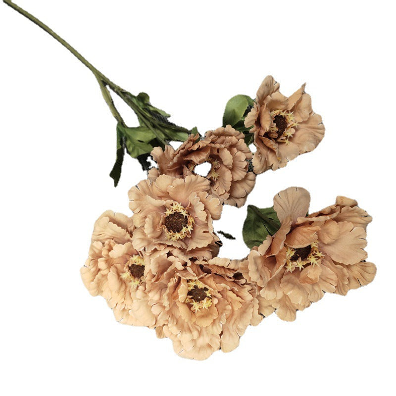 P0034 Peony