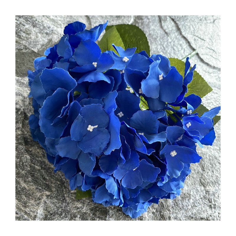 H0024 Hydrangea