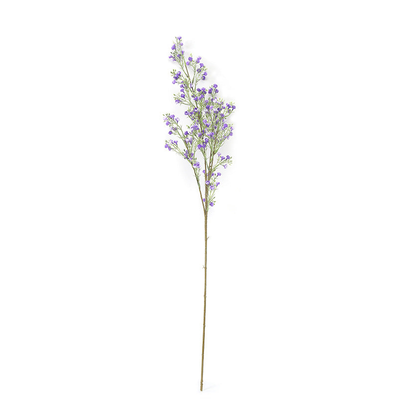 babysbreath016