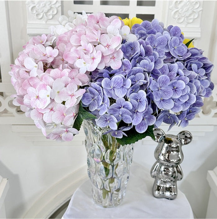H0015 Hydrangea
