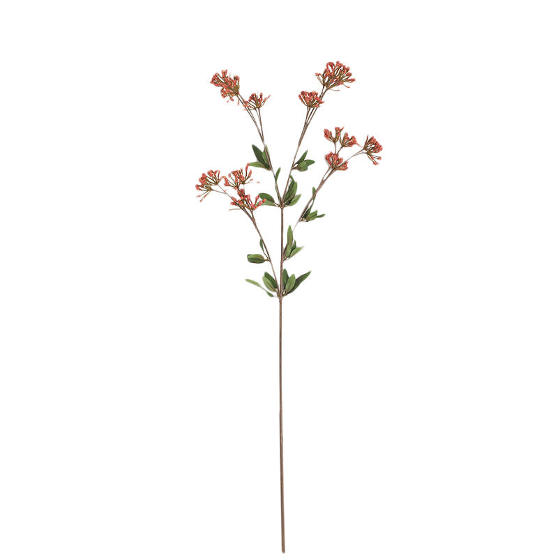 babysbreath023