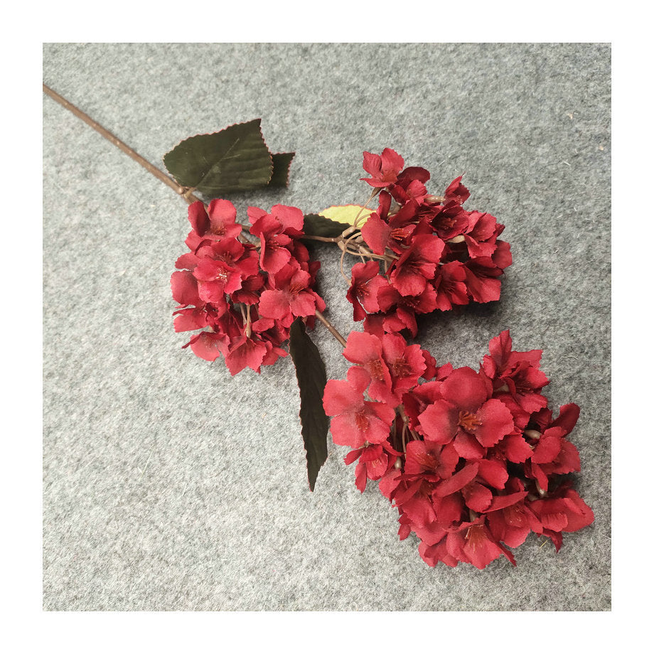 H0049 Hydrangea
