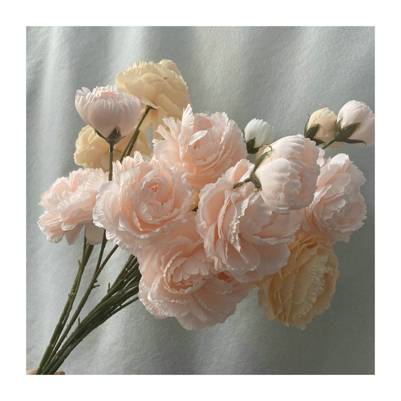 P0039 Brushed Cloth Puff Peony